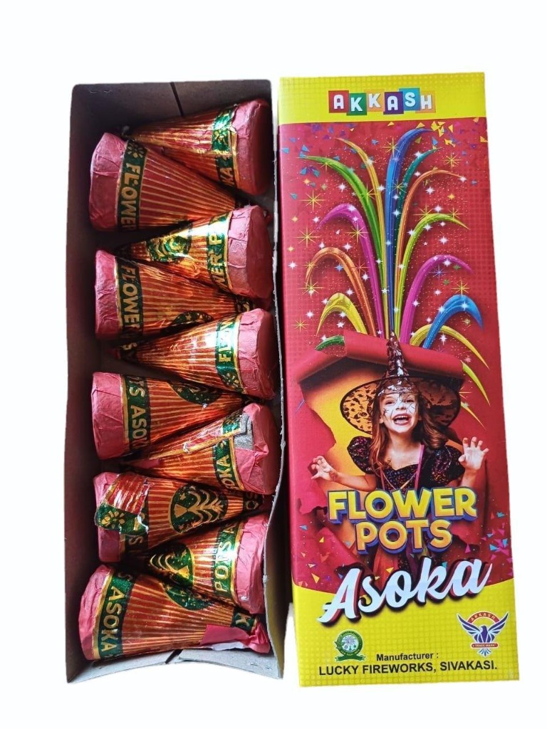 Flower Pots Asoka